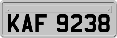 KAF9238