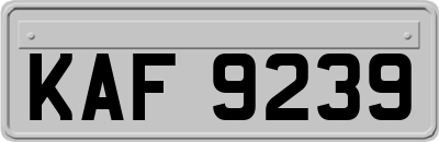 KAF9239