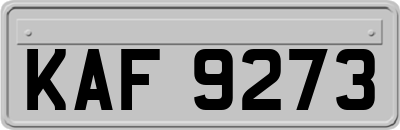 KAF9273