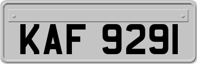 KAF9291