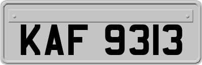 KAF9313
