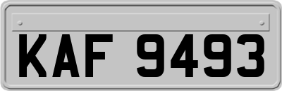 KAF9493