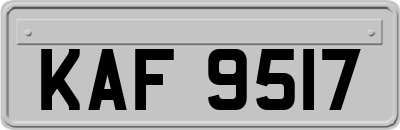 KAF9517
