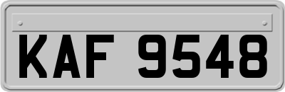 KAF9548