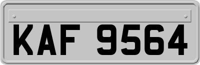 KAF9564