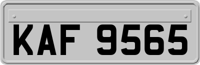KAF9565