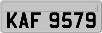 KAF9579