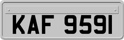 KAF9591