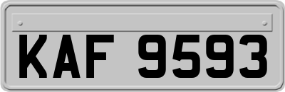 KAF9593