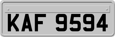KAF9594