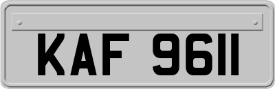 KAF9611