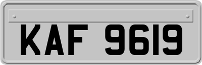 KAF9619