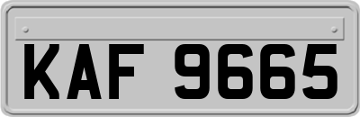 KAF9665