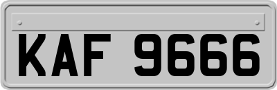 KAF9666