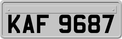 KAF9687