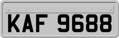 KAF9688