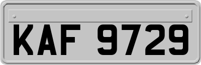 KAF9729