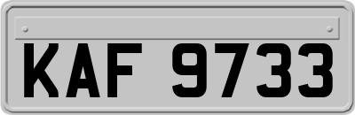 KAF9733