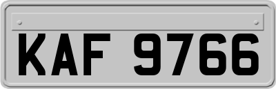 KAF9766
