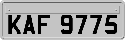 KAF9775