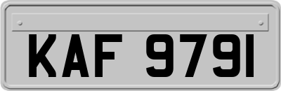 KAF9791