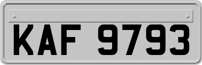 KAF9793
