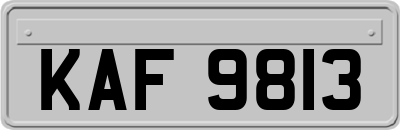 KAF9813