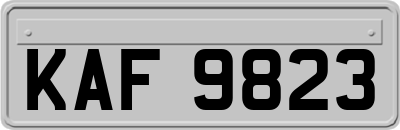 KAF9823