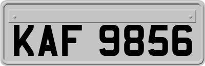 KAF9856