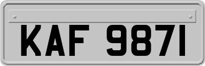 KAF9871