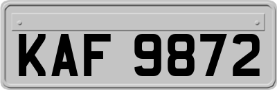 KAF9872