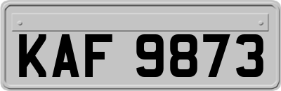 KAF9873