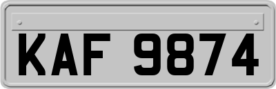 KAF9874