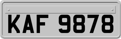 KAF9878