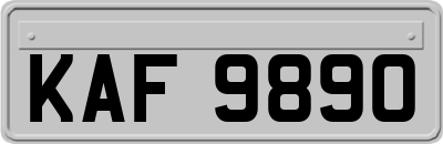 KAF9890