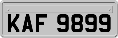 KAF9899