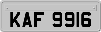 KAF9916