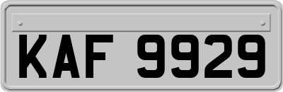 KAF9929