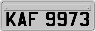 KAF9973