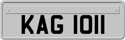KAG1011