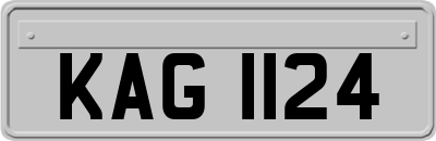 KAG1124