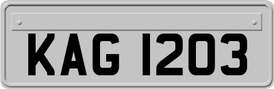 KAG1203