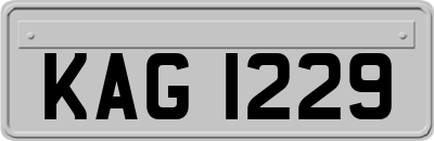 KAG1229