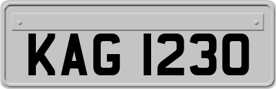 KAG1230