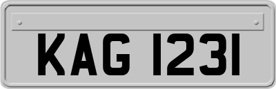 KAG1231