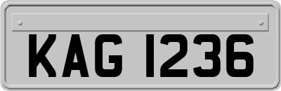KAG1236