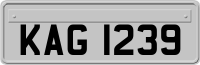 KAG1239