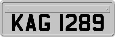 KAG1289