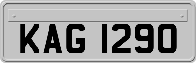 KAG1290