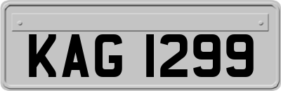 KAG1299
